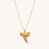 Classic Shark Tooth Necklace - Naut & Chain