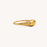 Diamond Stripe Dome Ring - Naut & Chain