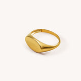Signet Ring - Naut & Chain