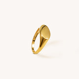Signet Ring - Naut & Chain