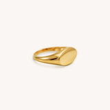 Signet Ring - Naut & Chain