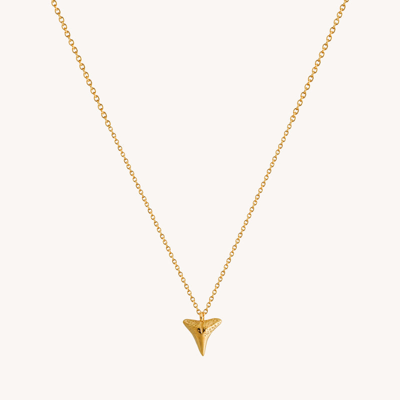 Minimalist Tooth Necklace