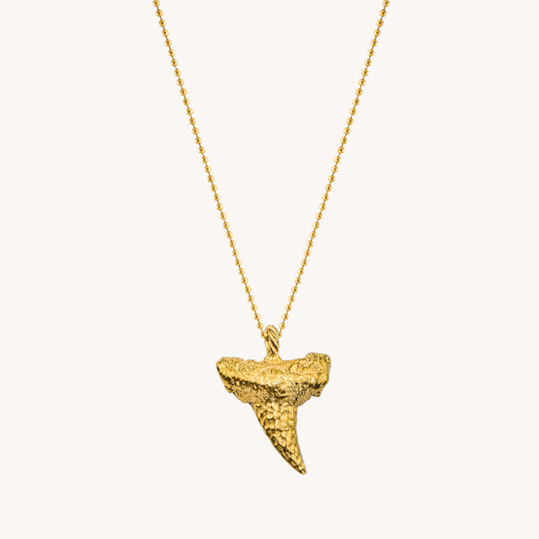 N&C Classic Tooth Necklace
