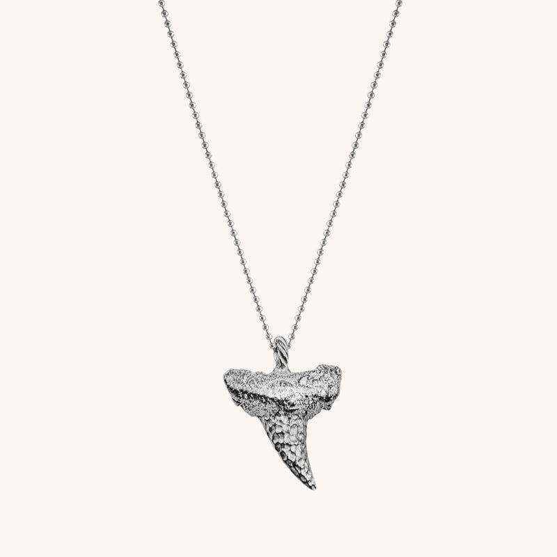 Classic Shark Tooth Necklace