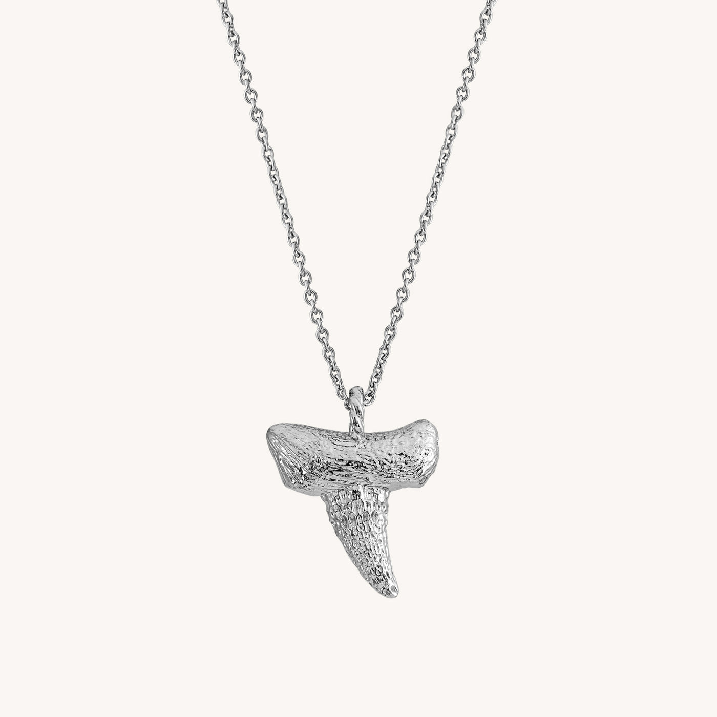 Sublime Sterling Silver Shark Tooth retailer Necklace