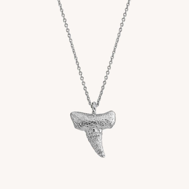 Silver Shark Tooth Pendant Nec – JAB Jewelry Works