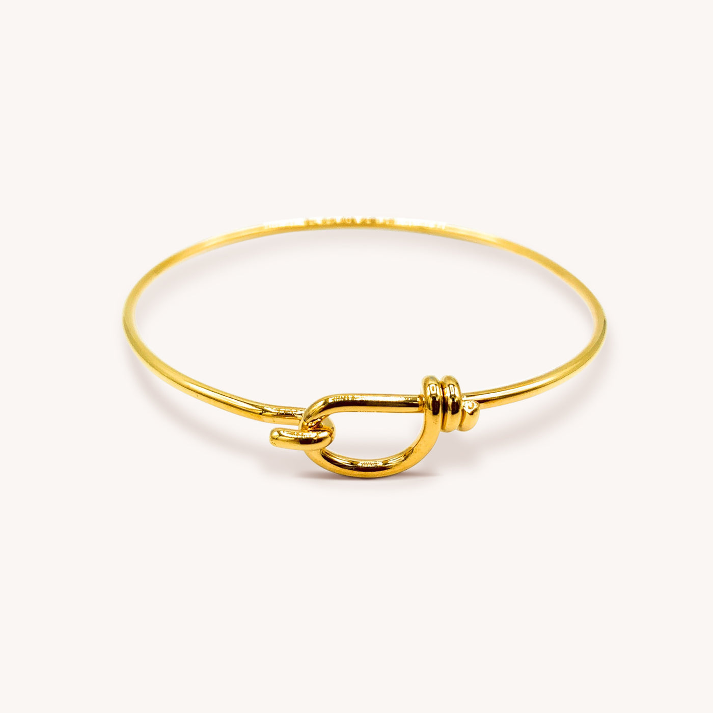 Hook Naut Bangle – Naut & Chain